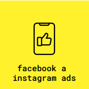 skills Facebook and Instagram ads